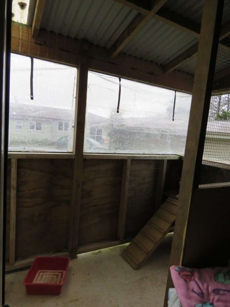 255 Gibbon Road Morrinsville_24