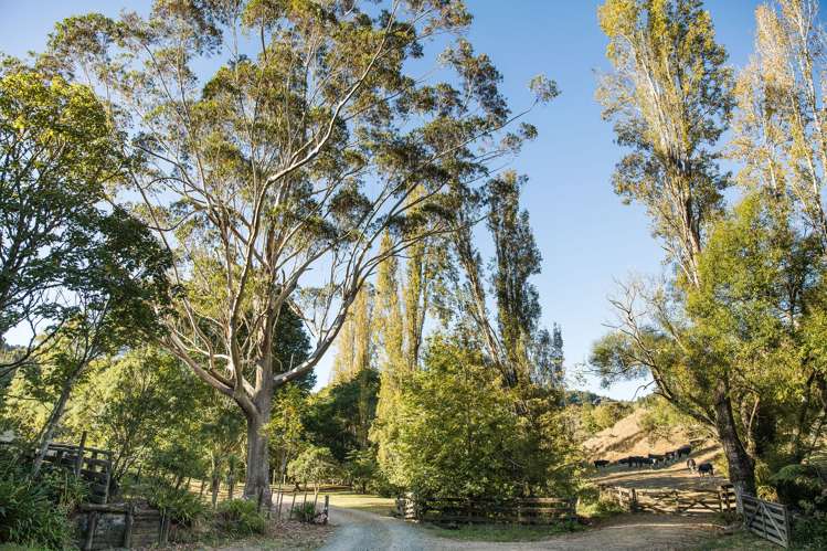 186 Twilight Road Clevedon_29