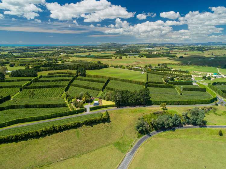 331 Maniatutu Road Pongakawa_21