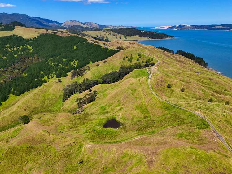 Brindle Road Opononi_9