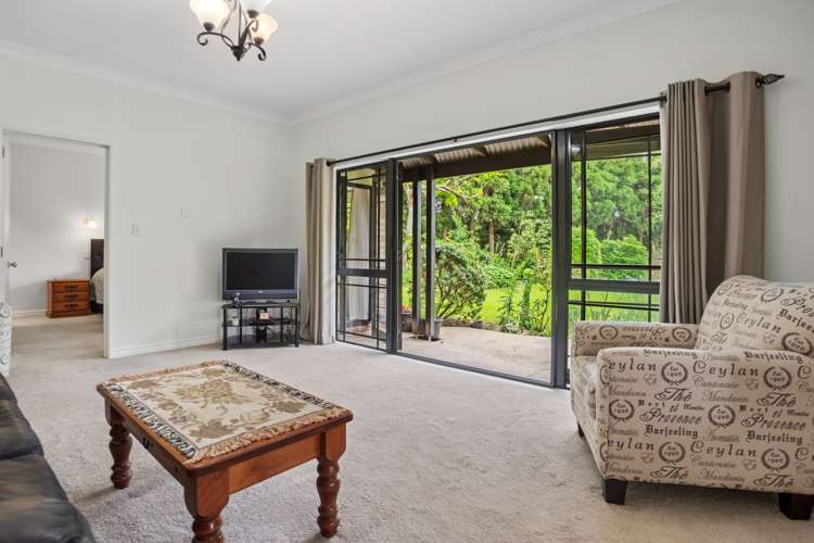 21 Thorn Road Kaimai_15