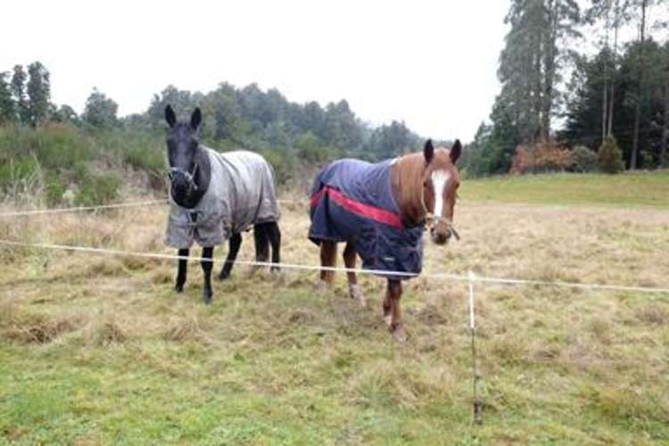 18b Uwha Road Owhango_3