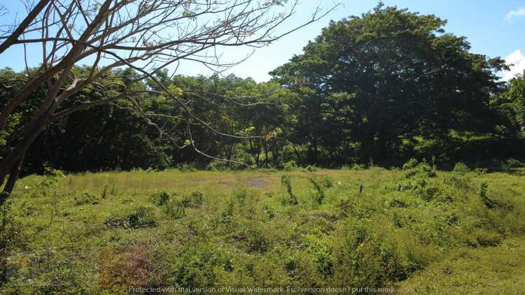 Address withheld Savusavu_11