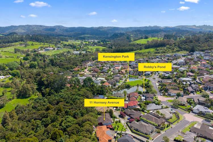 11 Hornsey Avenue Henderson_17