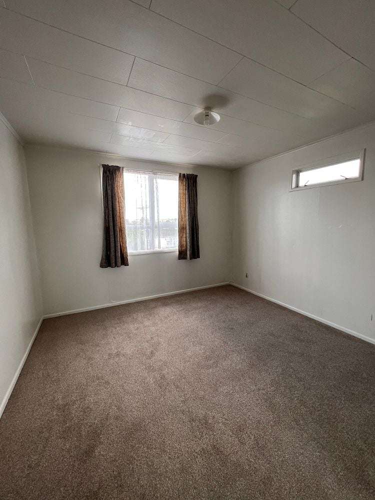 15 Beagle Avenue Mount Albert_8