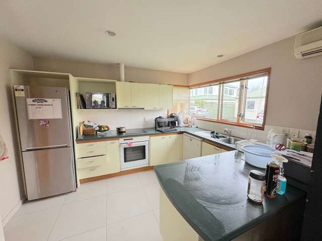 54A Brodie Street Ilam_2