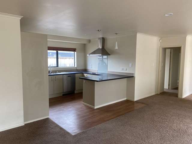 77 Denbigh Street Feilding_4