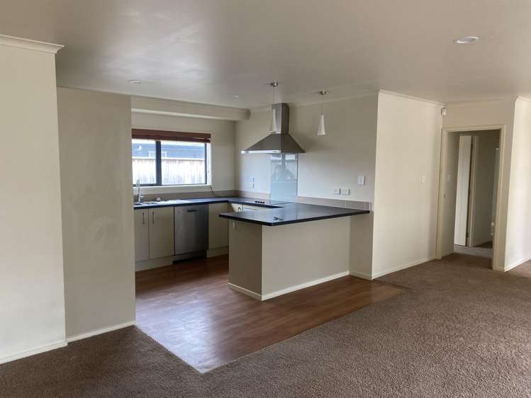 77 Denbigh Street Feilding_4