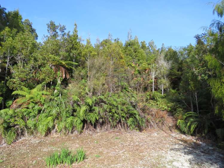 5 Mokihinui Preserve Seddonville_1