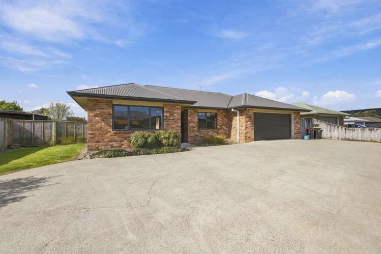 25 Nikau Place Matamata_0