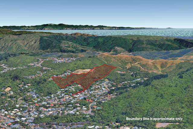 32 Alanbrooke Place & 71 Cornford Street Karori_3