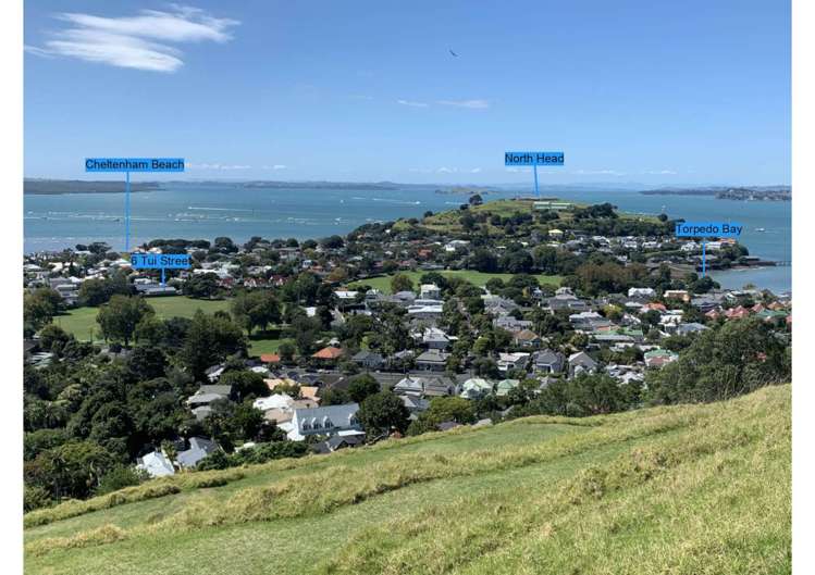 6 Tui Street Devonport_30