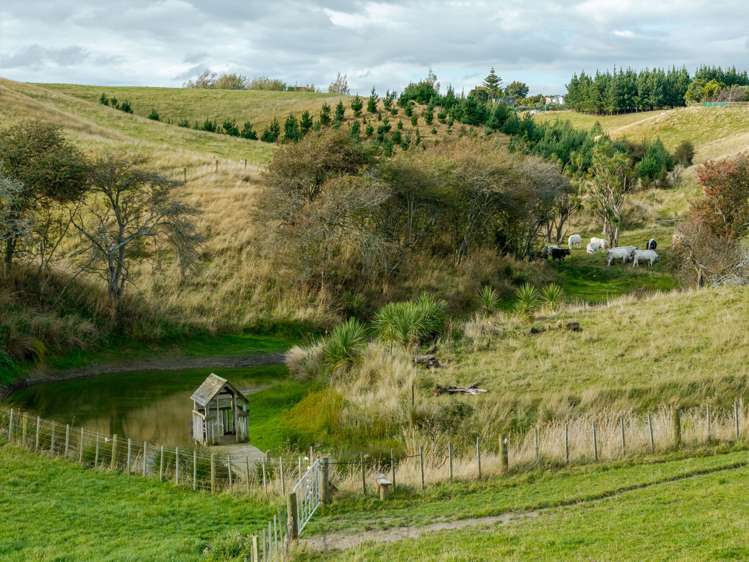 151 Mount Stewart Halcombe Road Sanson_56