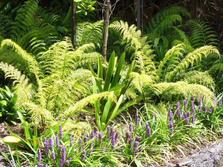 53 Kitewaho Road Swanson_72