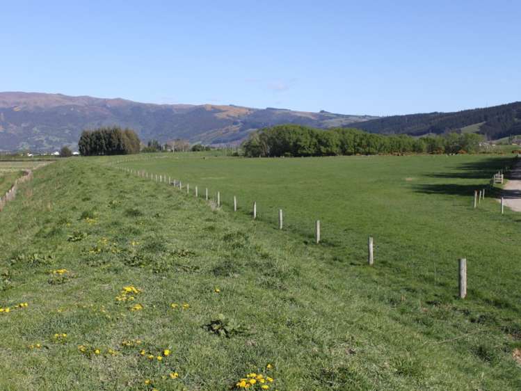 498 Allanton Road Outram_6