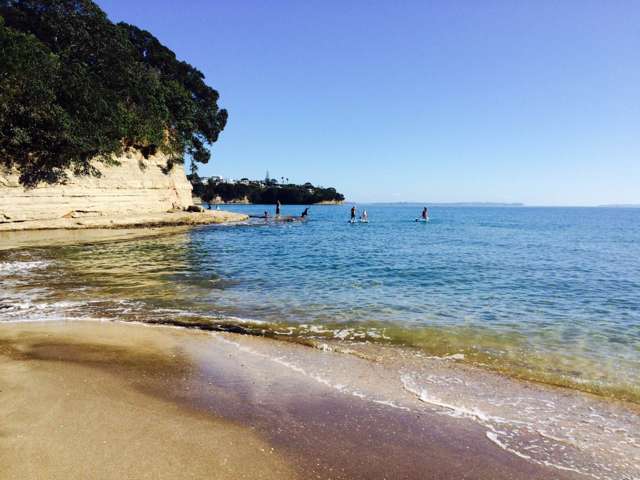 16C Hastings Road Mairangi Bay_2