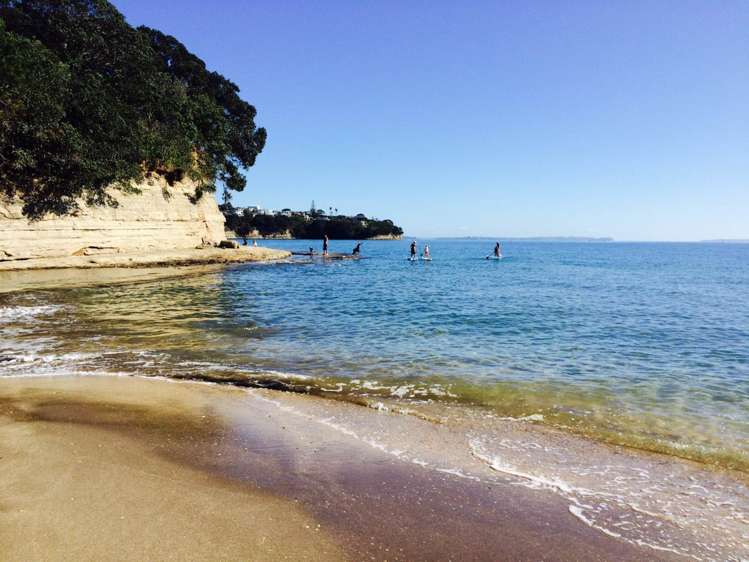 16C Hastings Road Mairangi Bay_2