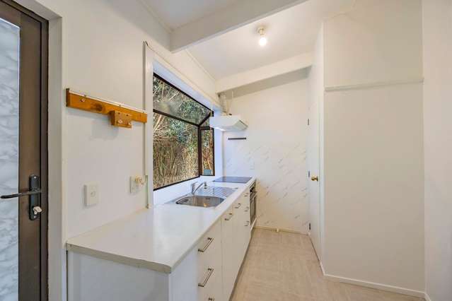 54A Parkinson Avenue Wesley_3