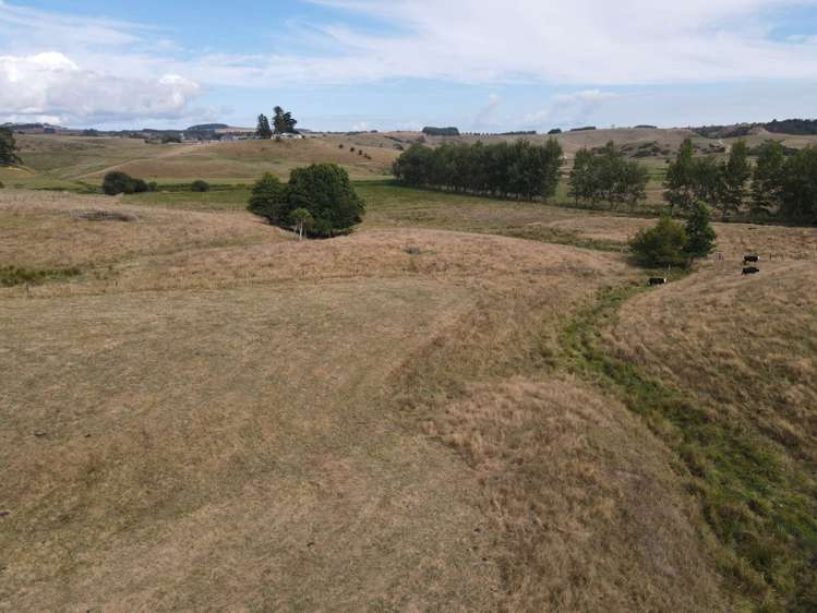 38a Native Road Pukekawa_9