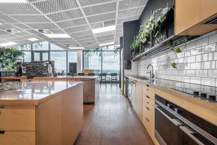 4 Williamson Avenue Ponsonby_5