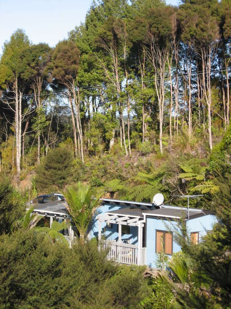 12 Walker Road Henderson Valley_6