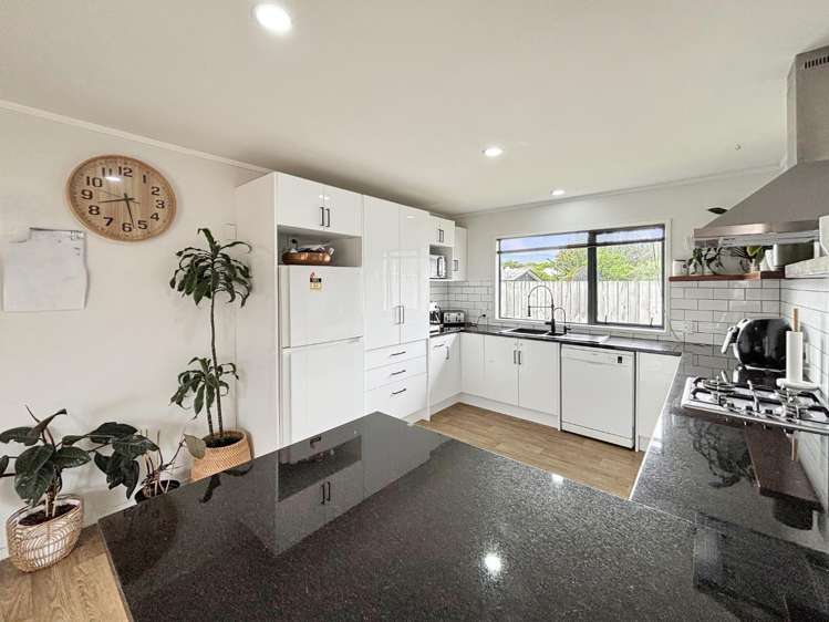 38a Lemon Street Otaki_2