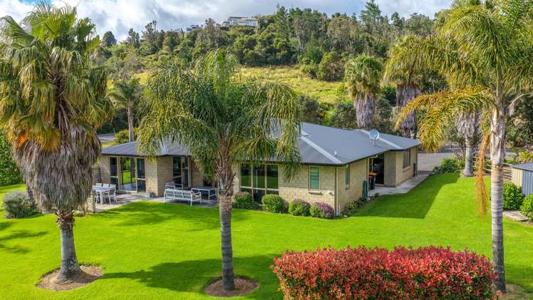 12 Titoki Lane Whangamatā_18