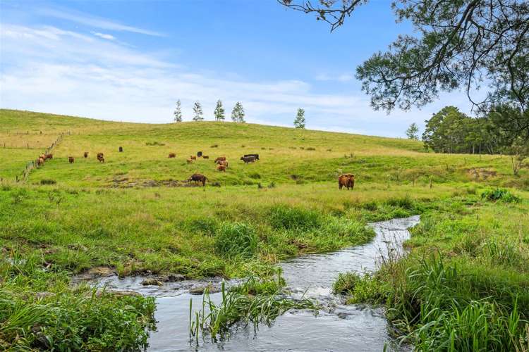 120 Springs Road Poroti_8