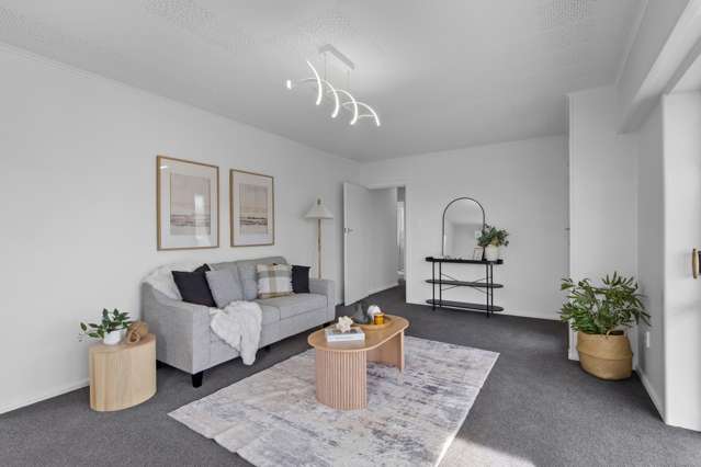 63 Harland Street Tinwald_1