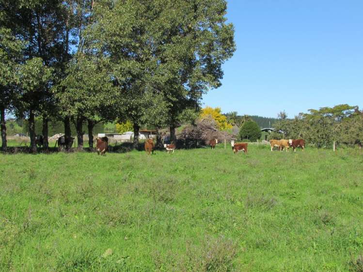 749 Swamp Road Puketapu_5