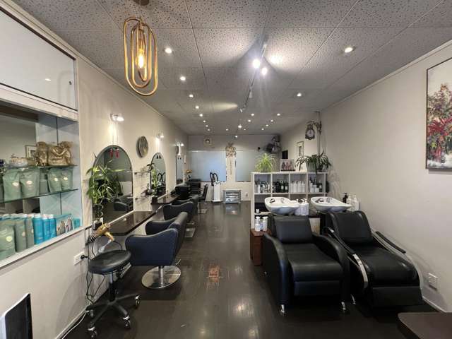 59A Cambridge Terrace Te Aro_2