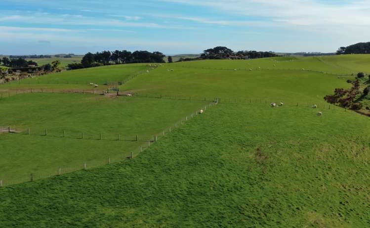 283 Otara Haldane Road Wyndham Surrounds_18