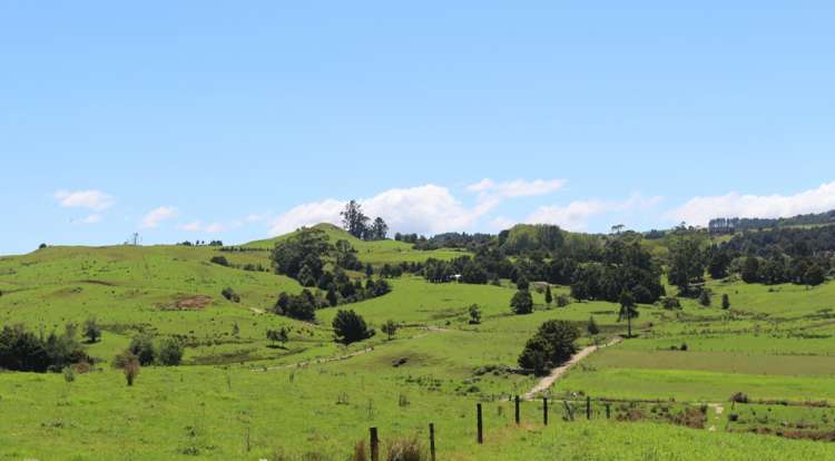 81 Ruapekapeka Road Towai_10