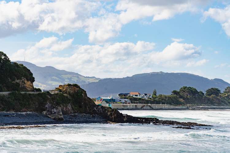 246 Forbury Road Saint Clair_5