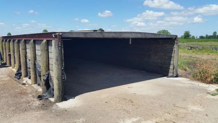 201 Steele Road Manawaru_10