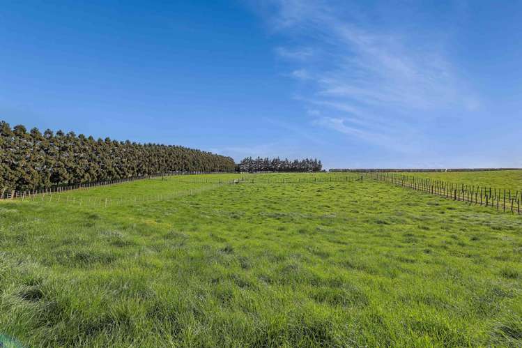 302 Otaraoa Road Waitara_22