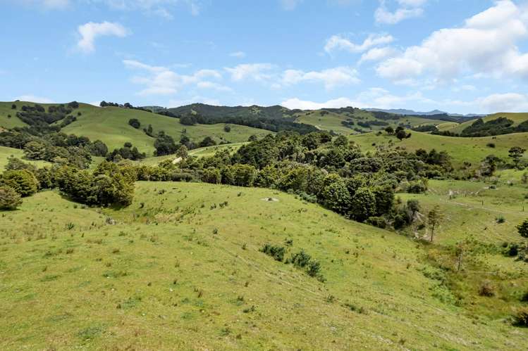 123 Homackey Road Matakohe_14