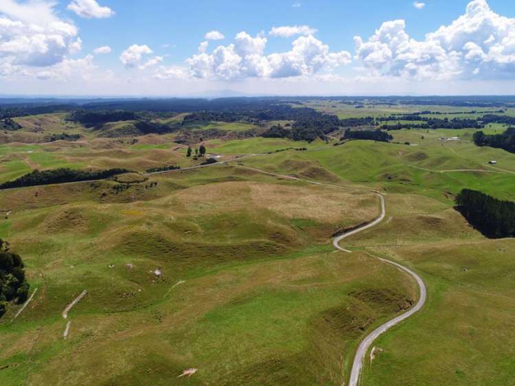 627 South Road Mamaku_19