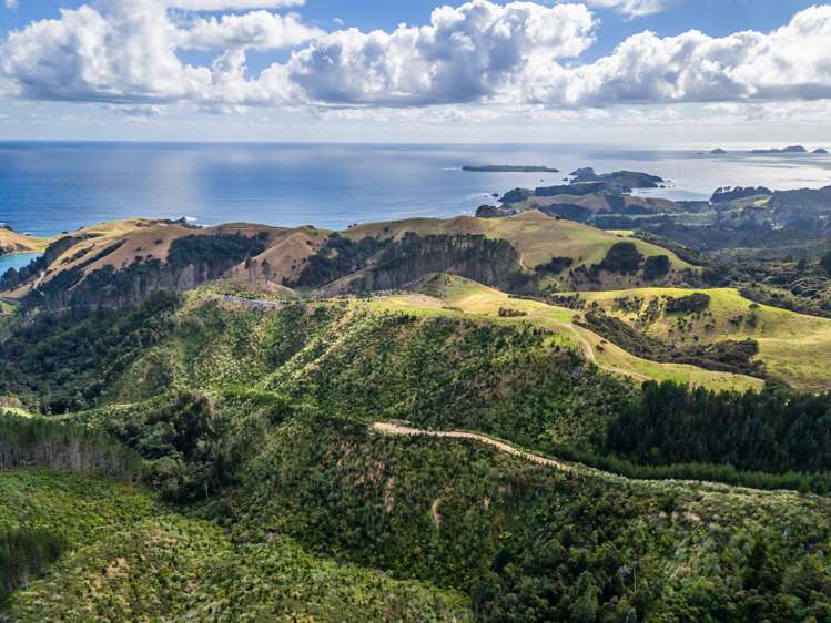 Mahinepua Road Mahinepua Peninsula_6