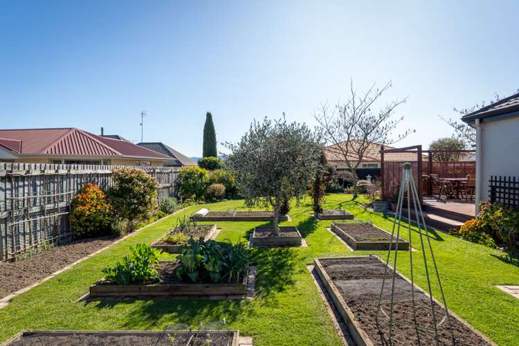 35 Hope Drive Witherlea_8