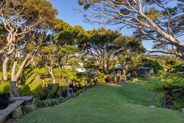 15 Rose Street Raglan_12