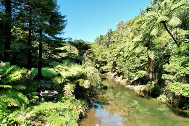 244 Wainui South Road Whakamarama_3