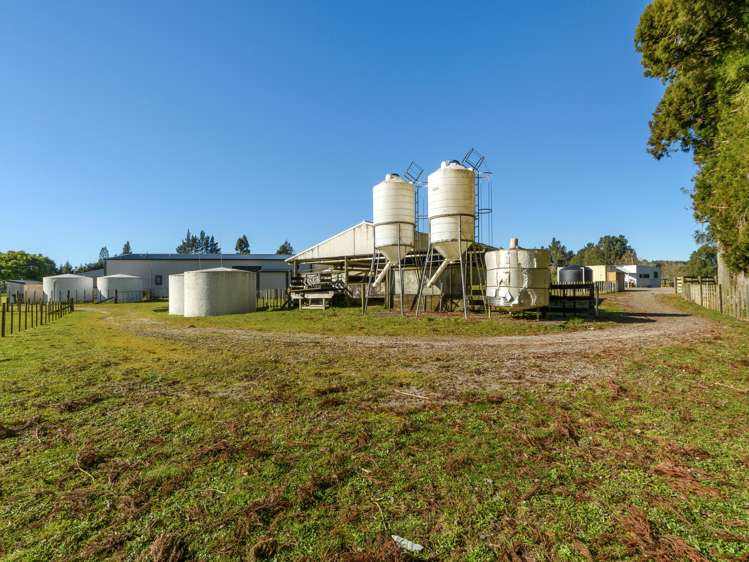 1128d Omanawa Road Kaimai_5