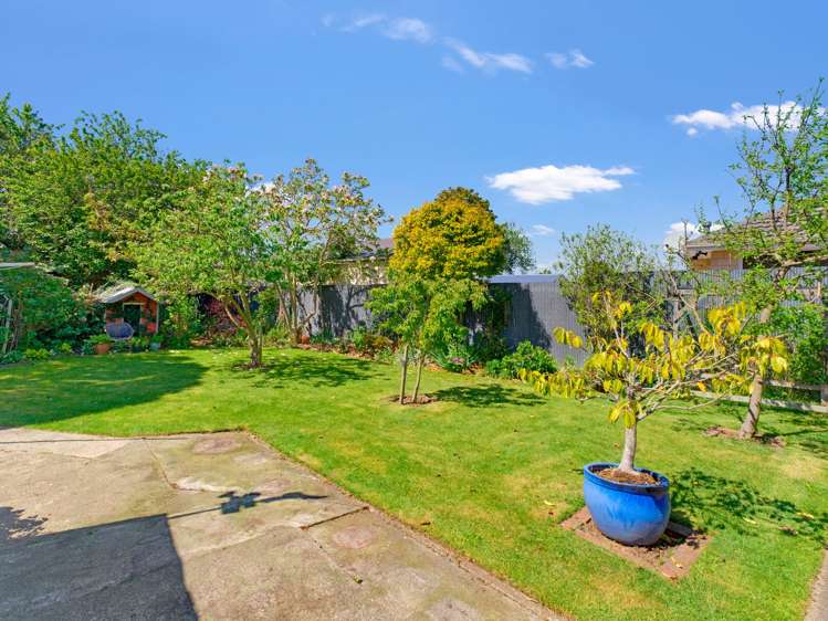 154 Mcgregors Road Linwood_28