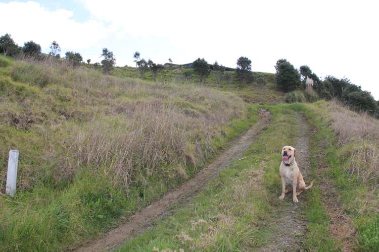 286b Cove Road Waipu_15