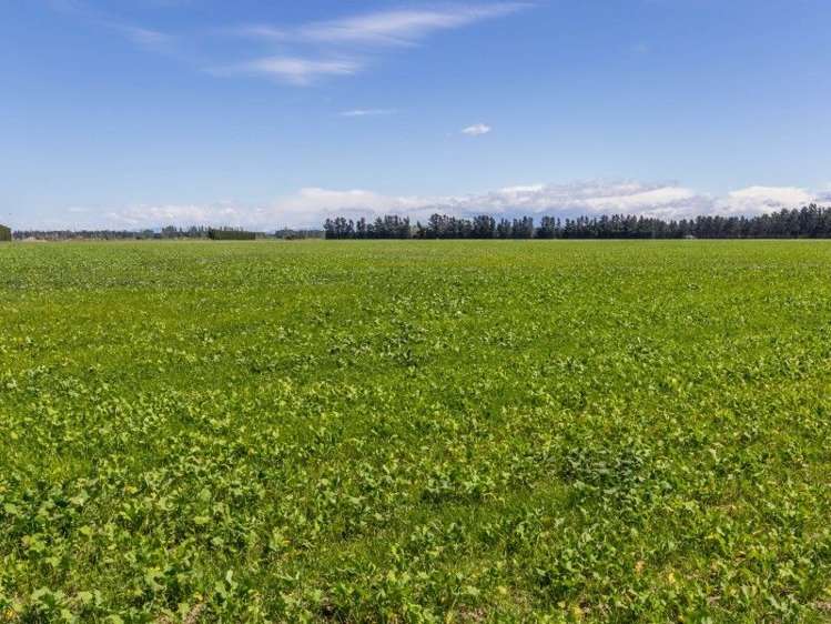 130 Mcleans Island Road Harewood_27