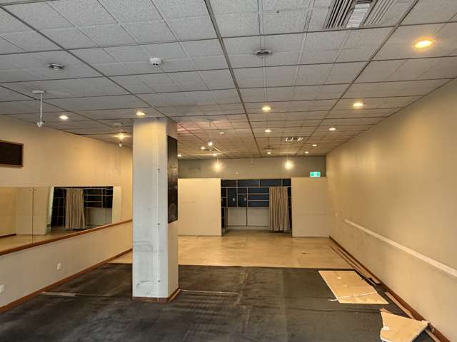 43 Princes Street Dunedin Central_1