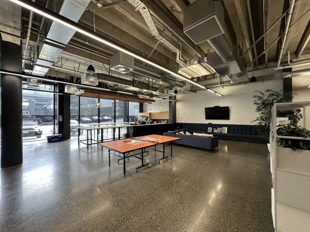 22 Pollen Street Grey Lynn_3