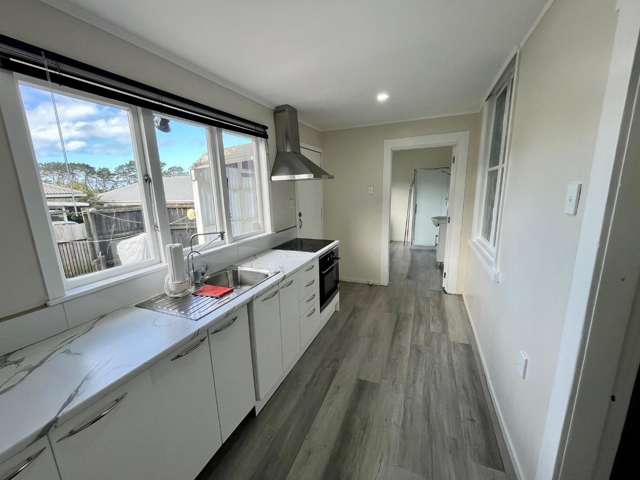 40 Hokonui Road Otahuhu_3