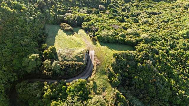 221 Glanmire Road Newlands_4